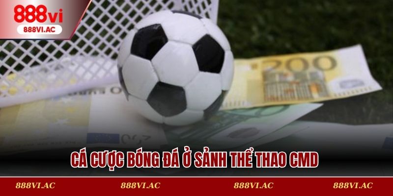 Cá cược bóng đá ở sảnh thể thao CMD