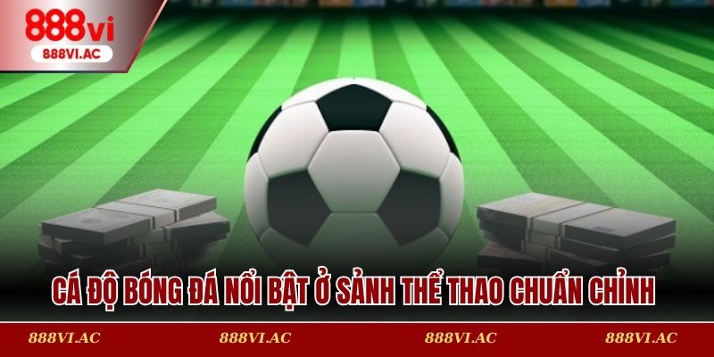 Cá độ bóng đá nổi bật ở sảnh thể thao chuẩn chỉnh